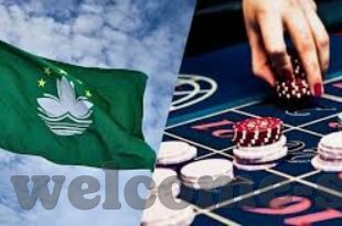 8383米博网址是啥-揭秘赌博网站的陷阱，8383米博网址的警示